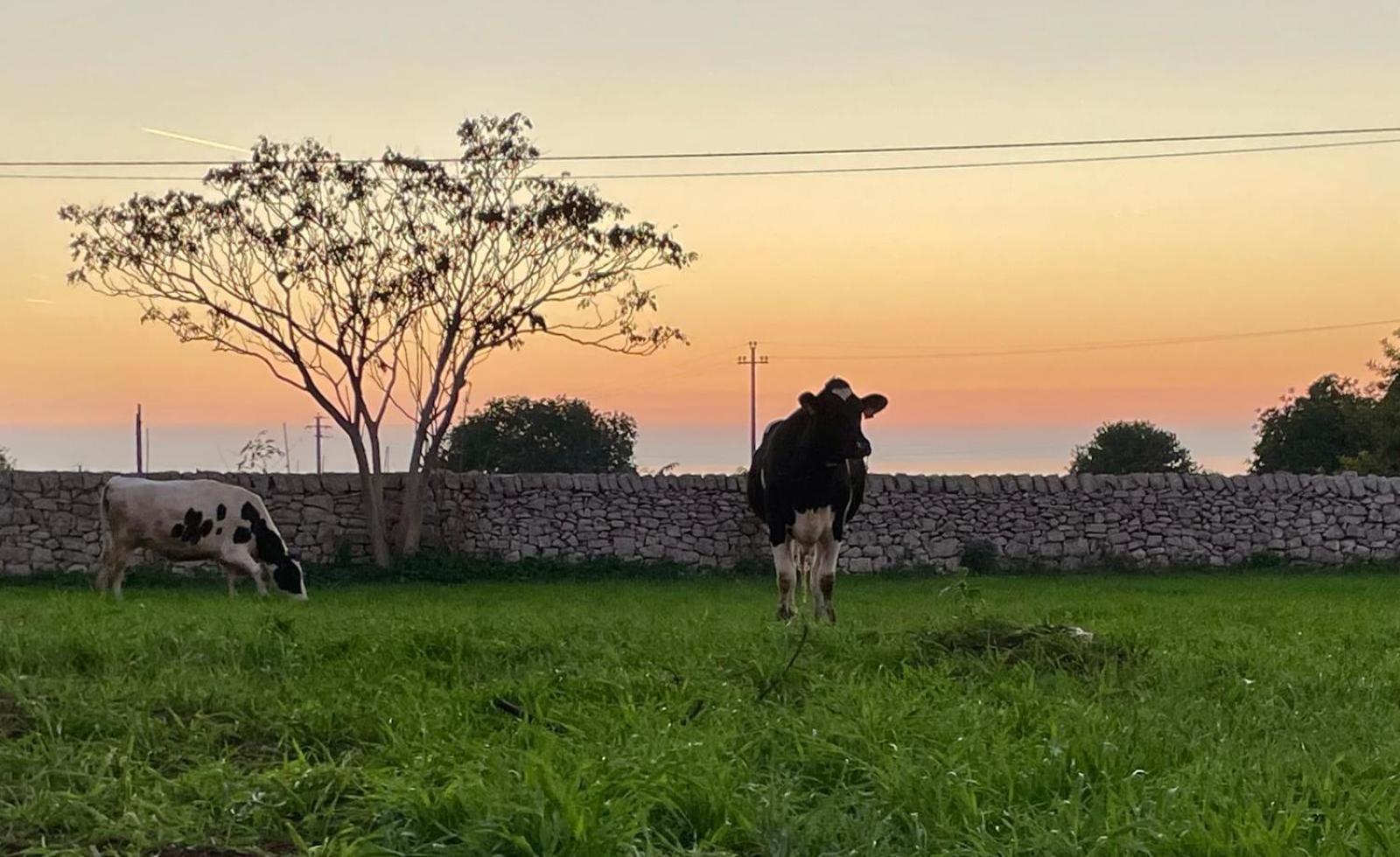 La Cascina Di Stefania *
