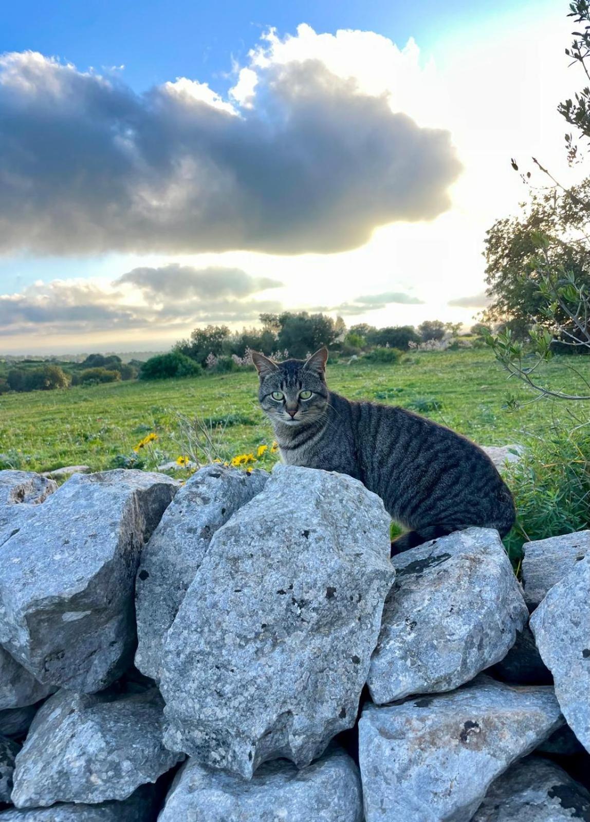 La Cascina Di Stefania *